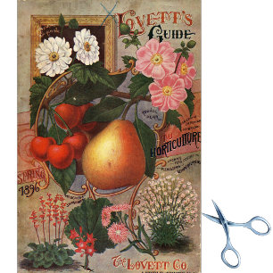 Vintage Seed Catalog Lovett's Guide Spring 1896 Tissue Paper
