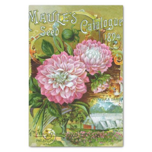 Vintage Seed Catalog Maules 1894 Tissue Paper