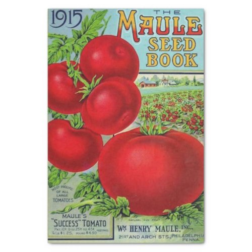 Vintage Seed Catalog Maules 1915 Tomatoes Tissue Paper