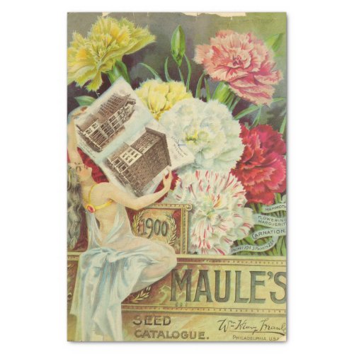 Vintage Seed Catalog Maules Carnations 1900 Tissue Paper