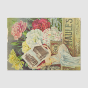 Vintage Seed Catalog Maule's Carnations, 1900 Tissue Paper
