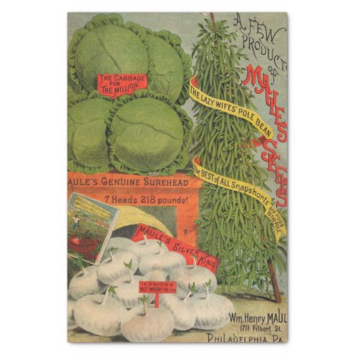 Vintage Seed Catalog Maules Seeds  Tissue Paper