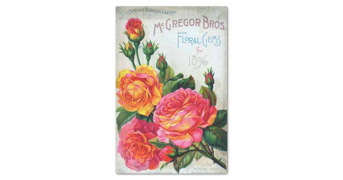 Vintage Seed Catalog McGregor Floral Gems, 1896 Tissue Paper Zazzle