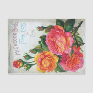 Vintage Seed Catalog McGregor Floral Gems, 1896 Tissue Paper