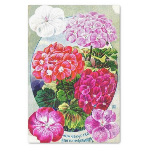 Vintage Seed Catalog New Giant Geraniums Tissue Paper