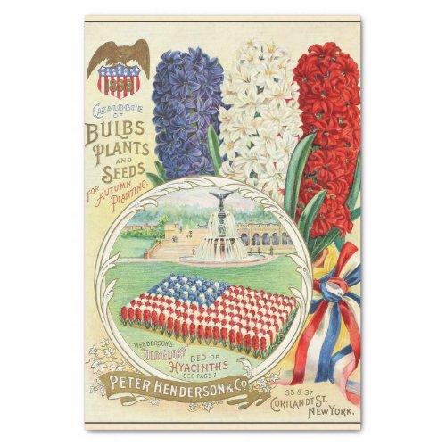 Vintage Seed Catalog Old Glory Hyacinths Tissue Paper