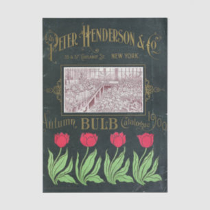 Vintage Seed Catalog Peter Henderson, 1901, Bulbs Tissue Paper