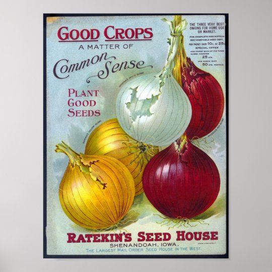 VINTAGE SEED CATALOG PRINT