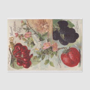 Vintage Seed Catalog Reid's Annual Catalogue, 1896 Tissue Paper