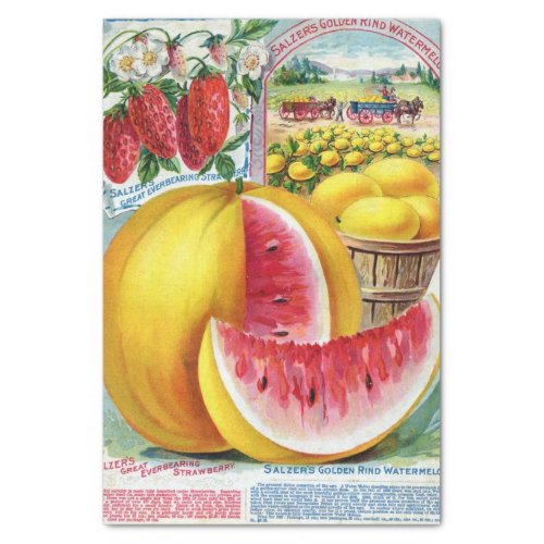 Vintage Seed Catalog Salzers Golden Watermelon Tissue Paper