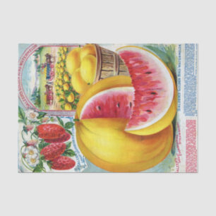 Vintage Seed Catalog Salzer's Golden Watermelon Tissue Paper