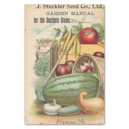 Vintage Seed Catalog Steckler Seed Company 1899 Tissue Paper