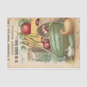 Vintage Seed Catalog Steckler Seed Company, 1899 Tissue Paper