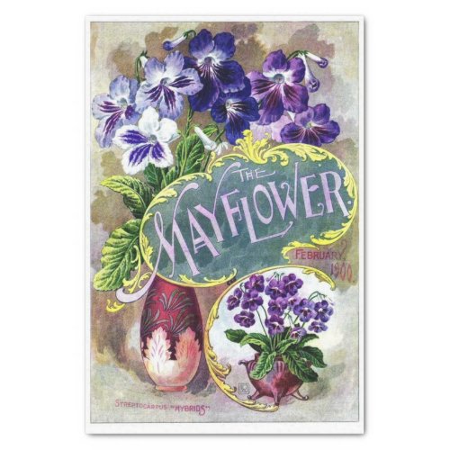 Vintage Seed Catalog The Mayflower Tissue Paper