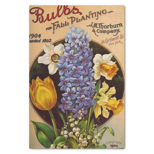 Vintage Seed Catalog Thorburn Company 1904 Tissue Paper