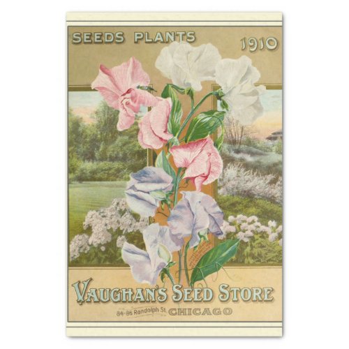 Vintage Seed Catalog Vaughans Seed Store 1910 Tissue Paper