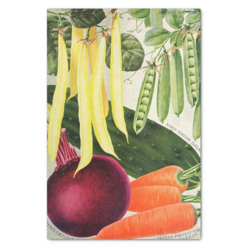 Vintage Seed Catalog Vegetables  Tissue Paper