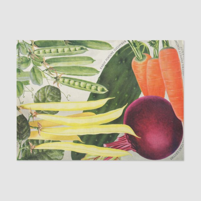 Vintage Seed Catalog Vegetables  Tissue Paper (Front)
