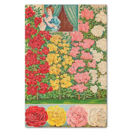 Vintage Seed Catalog Victorian Woman and Roses Tissue Paper