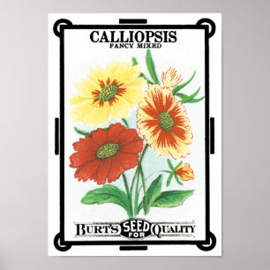 Vintage Seed Packet Art, Calliopsis Garden Flowers Poster