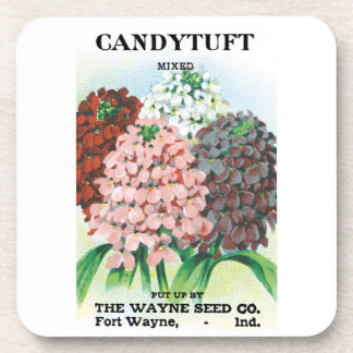 Vintage Seed Packet Art, Candytuft Garden Flowers Beverage Coaster
