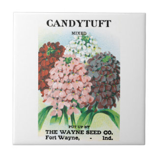 Vintage Seed Packet Art, Candytuft Garden Flowers Ceramic Tile