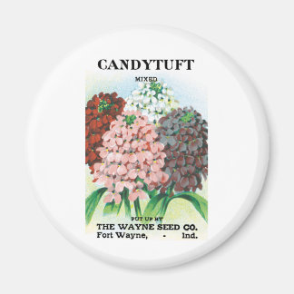 Vintage Seed Packet Art, Candytuft Garden Flowers Magnet
