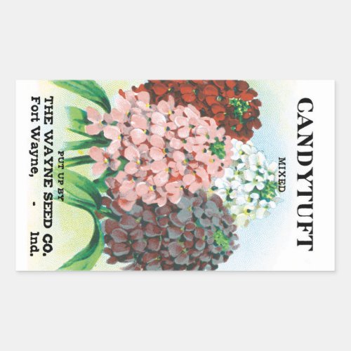Vintage Seed Packet Art Candytuft Garden Flowers Rectangular Sticker