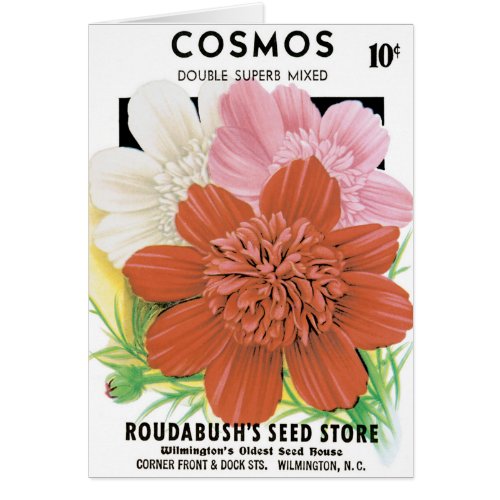 Vintage Seed Packet Art, Cosmos Garden Flowers