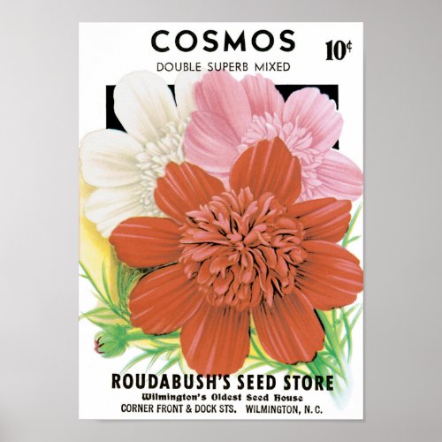 Vintage Seed Packet Art Cosmos Garden Flowers Poster