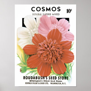 Vintage Seed Packet Art, Cosmos Garden Flowers Poster
