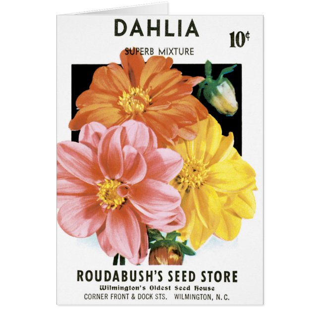 Vintage Seed Packet Art, Dahlia Garden Flowers (Front)