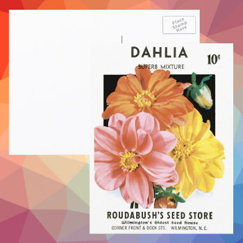 Vintage Seed Packet Art  Dahlia Garden Flowers Postcard by YesterdayCafe at Zazzle