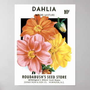 Vintage Seed Packet Art, Dahlia Garden Flowers Poster