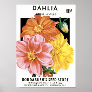 Vintage Seed Packet Art, Dahlia Garden Flowers Poster