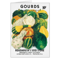 Vintage Seed Packet Art, Mixed Gourds Squash