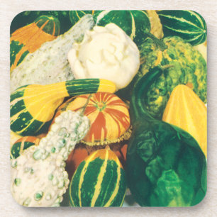 Vintage Seed Packet Art, Mixed Gourds Squash Beverage Coaster