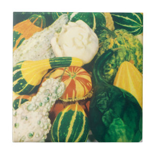Vintage Seed Packet Art, Mixed Gourds Squash Ceramic Tile