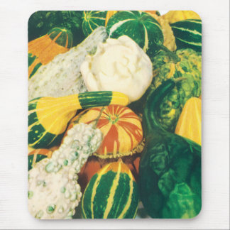 Vintage Seed Packet Art, Mixed Gourds Squash Mouse Pad