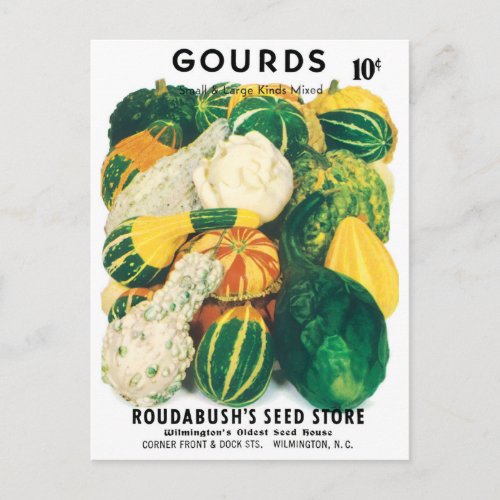 Vintage Seed Packet Art Mixed Gourds Squash Postcard