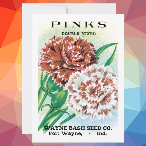 Vintage Seed Packet Art Pinks Carnation Flowers