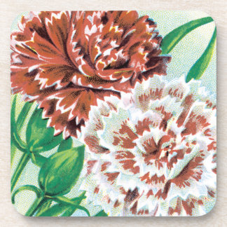 Vintage Seed Packet Art, Pinks Carnation Flowers Beverage Coaster