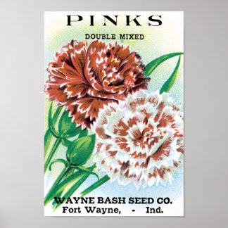 Vintage Seed Packet Art, Pinks Carnation Flowers Poster