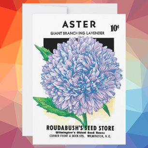 Vintage Seed Packet Art, Purple Aster Flowers