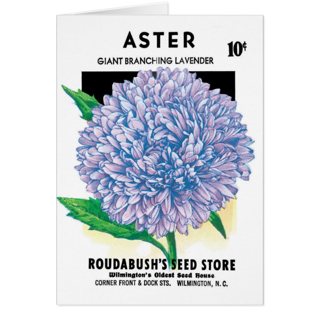 Vintage Seed Packet Art, Purple Aster Flowers Cards (Front)