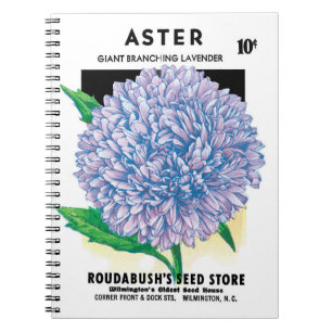 Vintage Seed Packet Art, Purple Aster Flowers Notebook