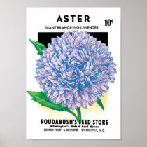 Vintage Seed Packet Art, Purple Aster Flowers