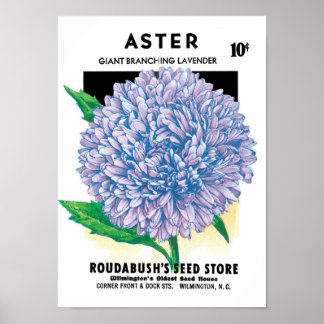 Vintage Seed Packet Art, Purple Aster Flowers Poster