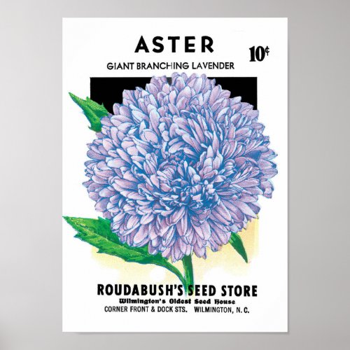 Vintage Seed Packet Art Purple Aster Flowers Poster