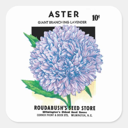 Vintage Seed Packet Art Purple Aster Flowers Square Sticker